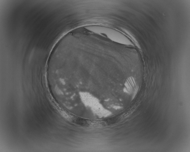 X0000082150899200702092148