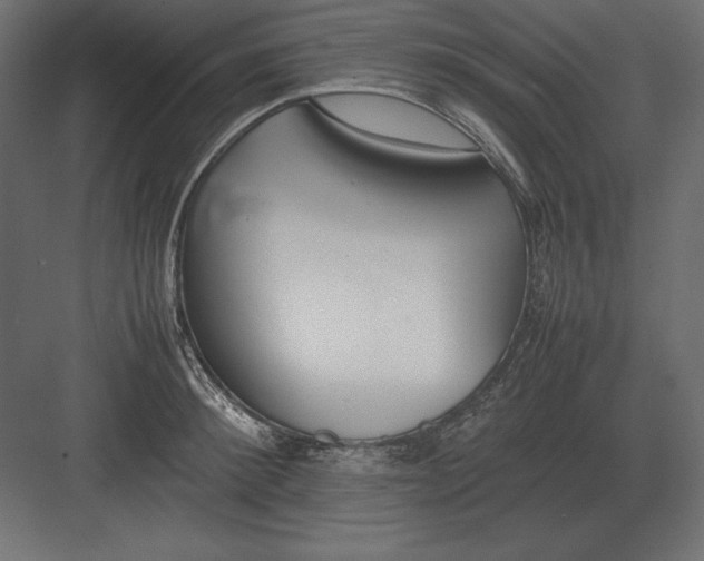 X0000082150900200702092148