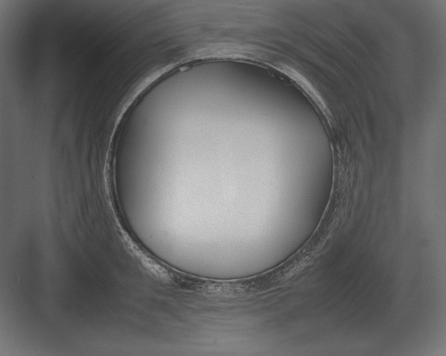 X0000082150901200702092148