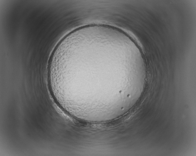 X0000082150903200702092148