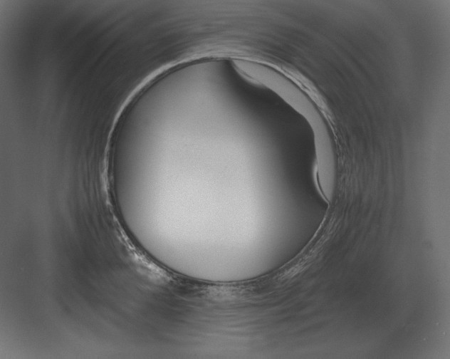 X0000082150904200702092148