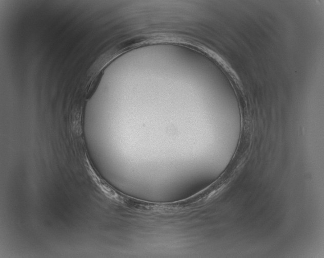 X0000082150905200702092148