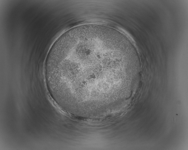 X0000082150907200702092148