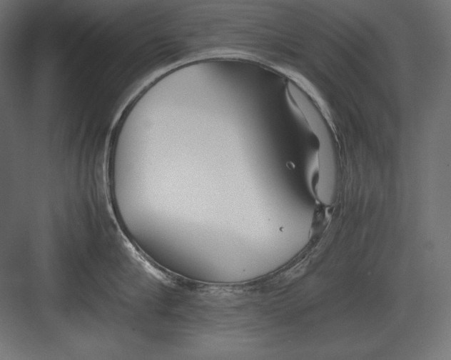 X0000082150910200702092148