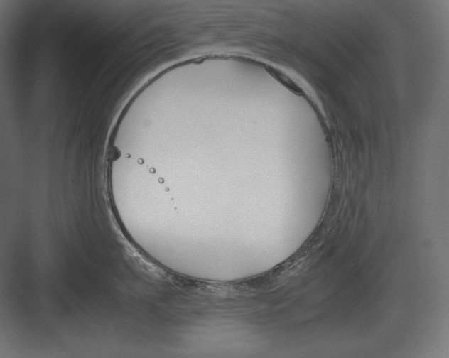 X0000082150911200702092148