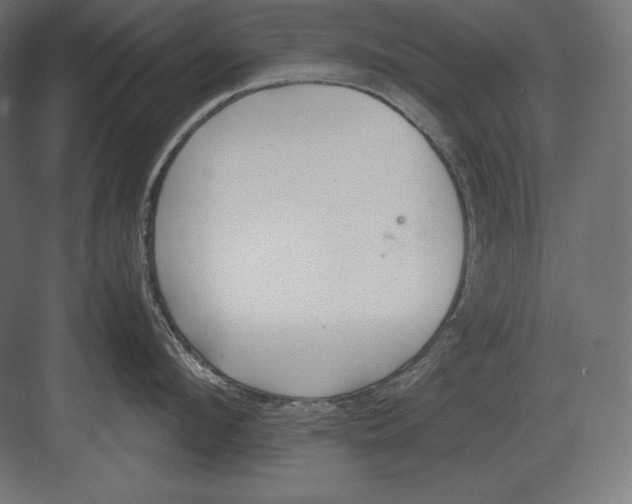 X0000082150912200702092148