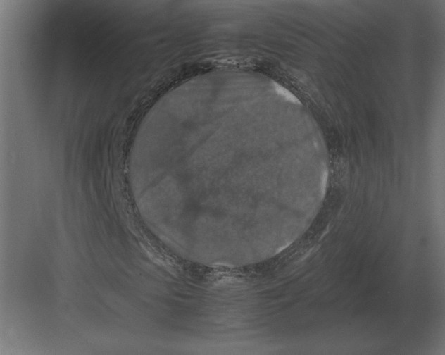 X0000082150913200702092147