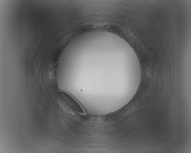 X0000082150914200702092147