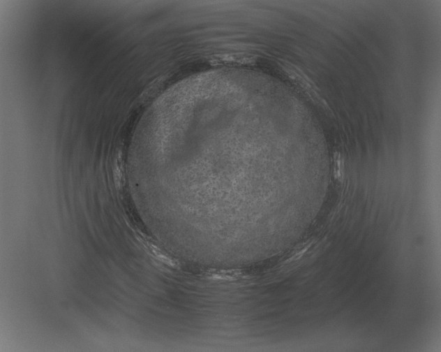 X0000082150915200702092147