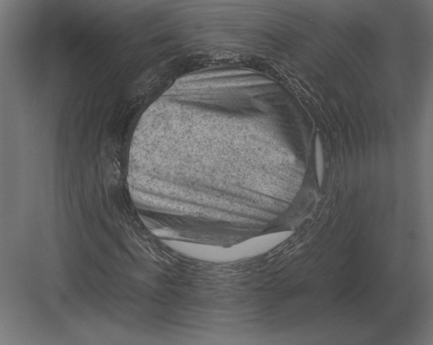 X0000082150916200702092147