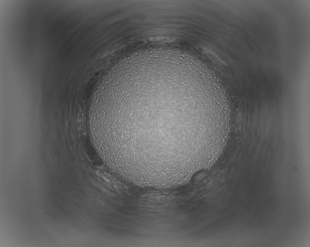 X0000082150917200702092147