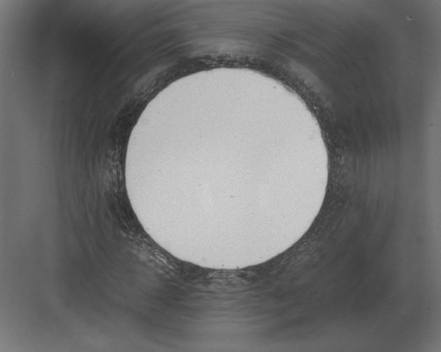 X0000082150918200702092147