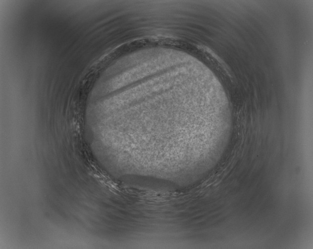 X0000082150919200702092147