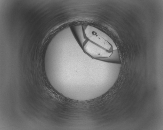 X0000082150920200702092147