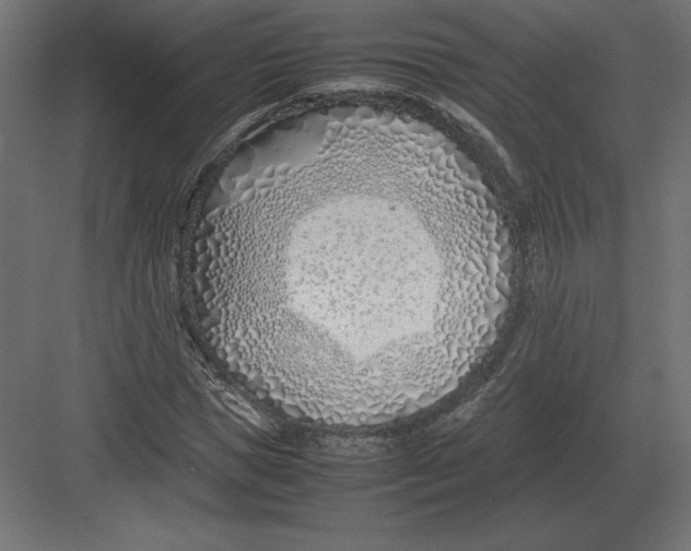 X0000082150921200702092147