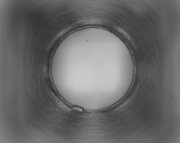 X0000082150922200702092147