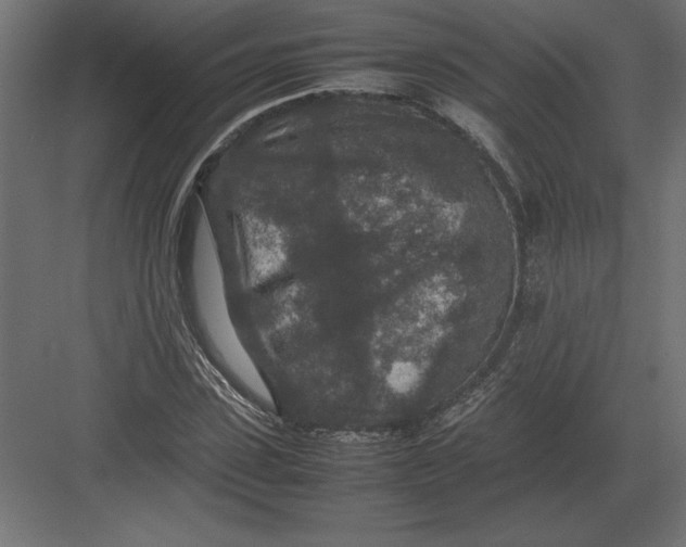 X0000082150923200702092147