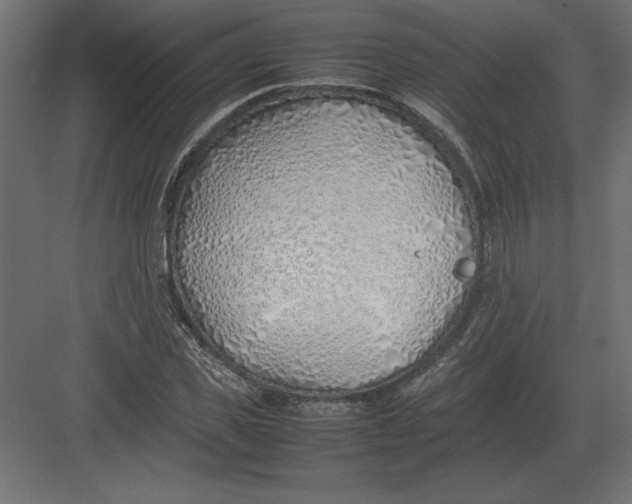 X0000082150925200702092147