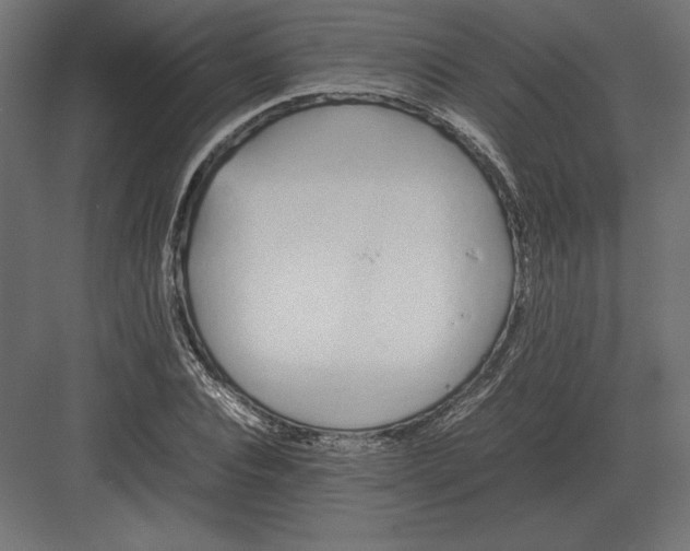 X0000082150928200702092147