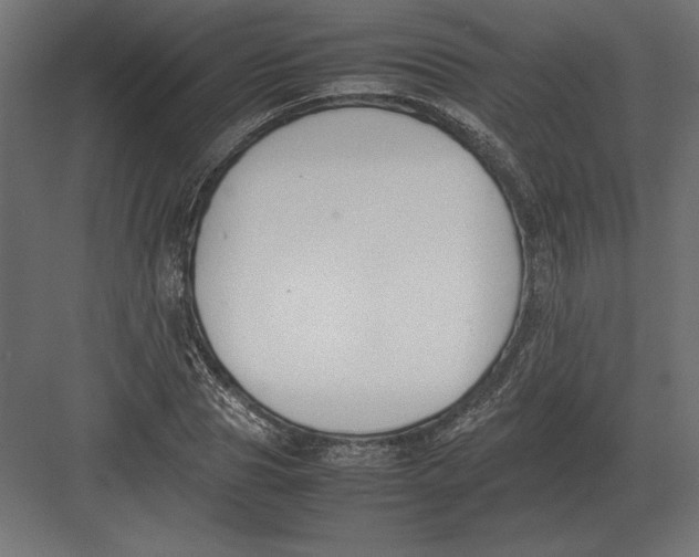 X0000082150929200702092147