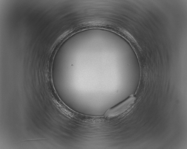 X0000082150930200702092147