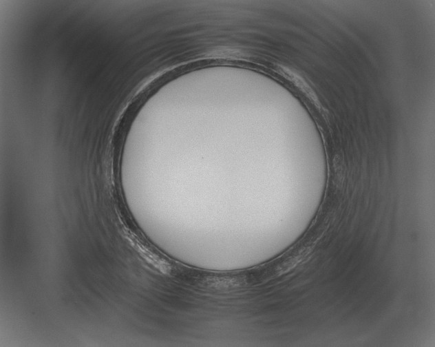 X0000082150931200702092147