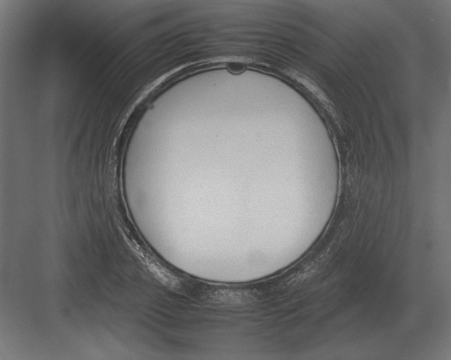 X0000082150933200702092147