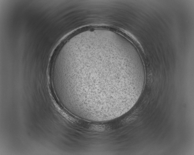 X0000082150935200702092147