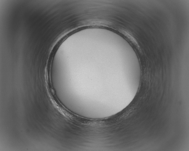 X0000082150936200702092147