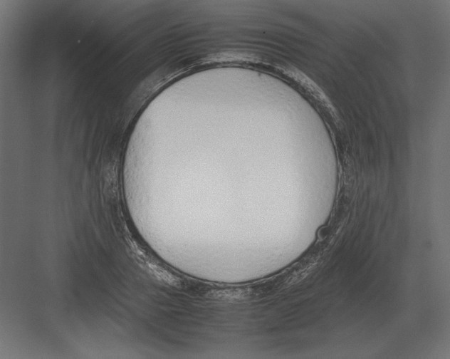 X0000082150937200702092147