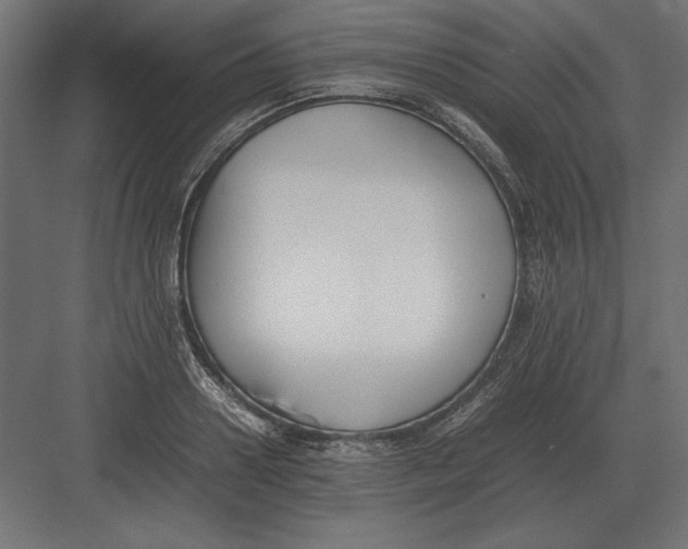 X0000082150938200702092147