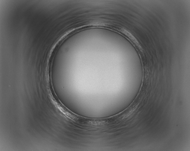 X0000082150939200702092147