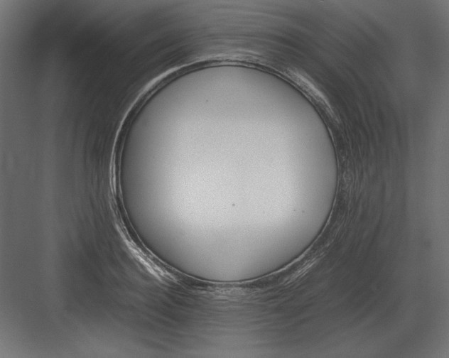 X0000082150940200702092147