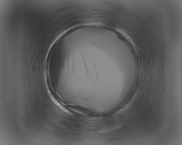 X0000082150941200702092147