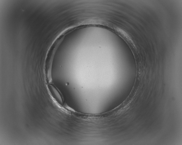 X0000082150942200702092147