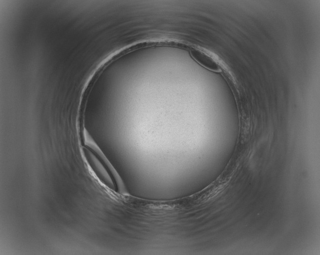 X0000082150943200702092147