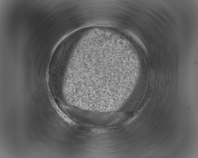 X0000082150944200702092147