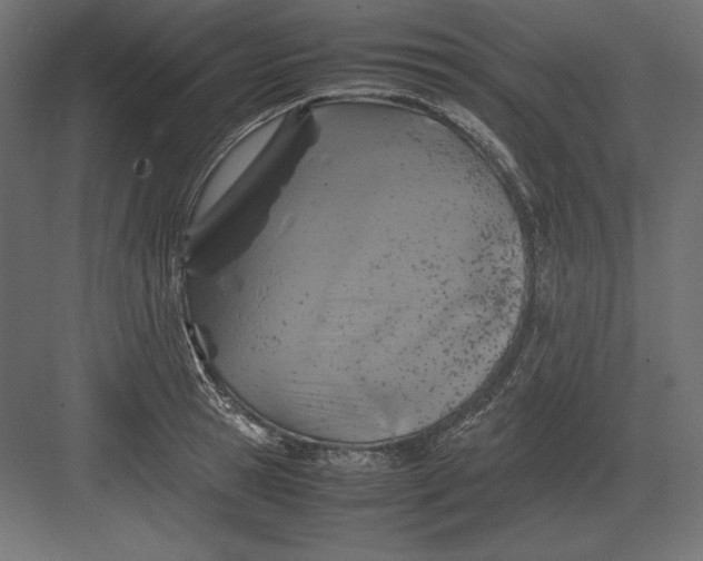 X0000082150945200702092147