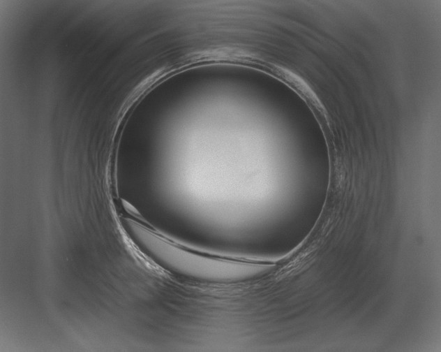 X0000082150946200702092147