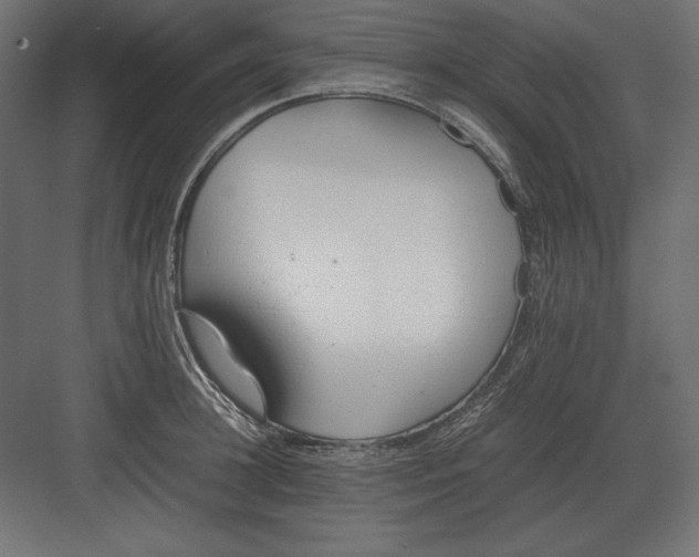 X0000082150948200702092147