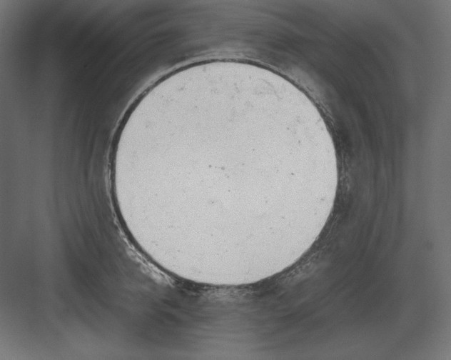 X0000082150950200702092147