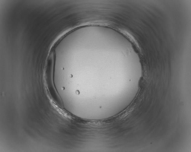 X0000082150952200702092147