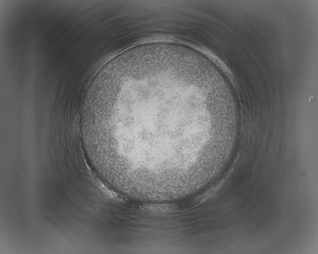 X0000082150953200702092147