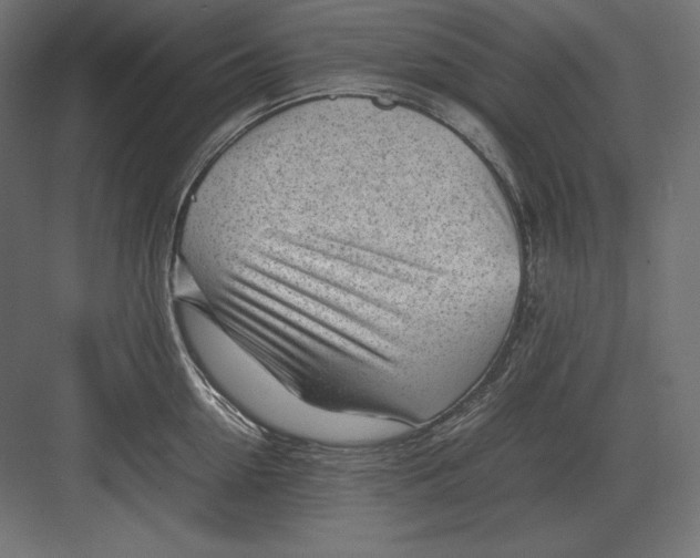 X0000082150954200702092148