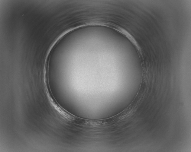 X0000082150955200702092148