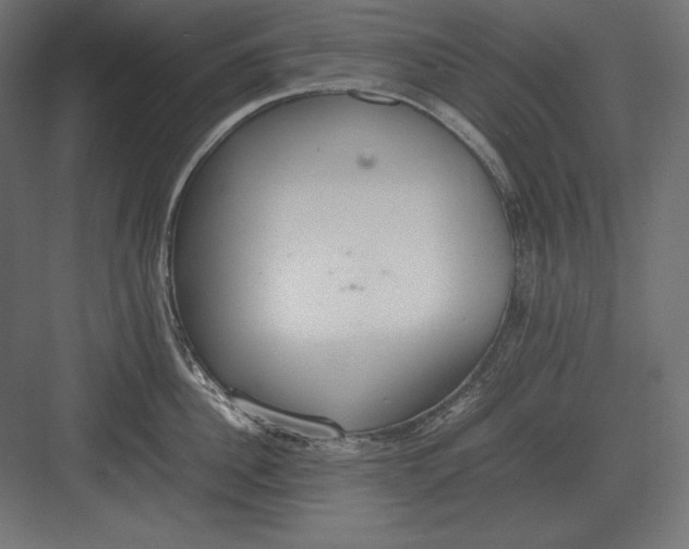 X0000082150956200702092148