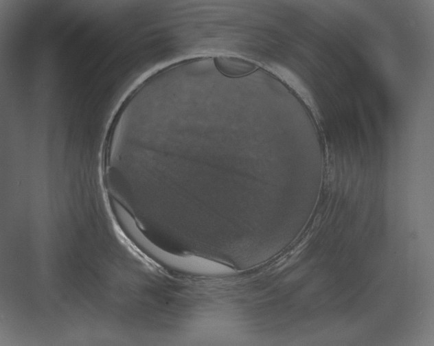 X0000082150958200702092148