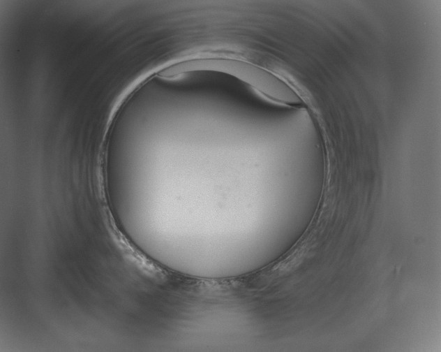 X0000082150960200702092148