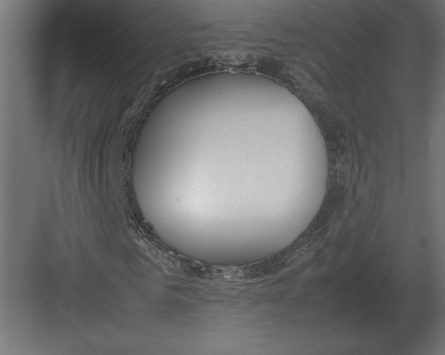 X0000082150961200702092147