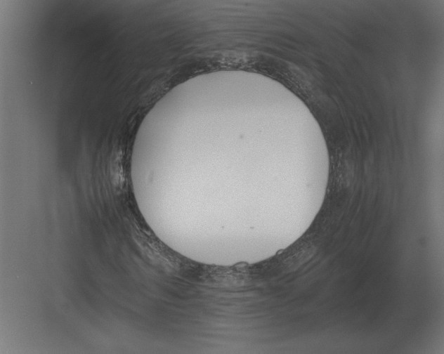 X0000082150962200702092147